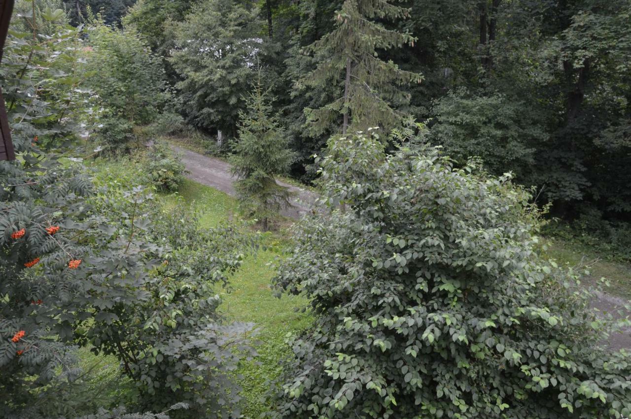 Chata Adrian Slovak Paradise Spišské Tomášovce Buitenkant foto